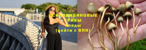 ешки Михайлов