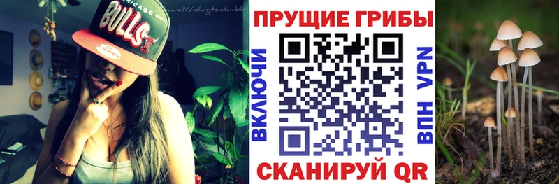 Псилоцибиновые грибы мухоморы  Харабали 